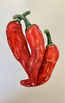 Red long ghost chillies